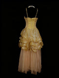 Vintage Night Aesthetic Ball Gown Spaghetti Straps 80s 70s Gold College Formal Outfit Long Prom Graduation Dresses For Teens HZ0311