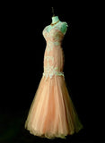 Vintage Mermaid V Neck Pink Tulle With Lace Appliques 2000s Senior Prom Dresses High School Long Formal Dress HZ0311
