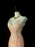 Vintage Mermaid V Neck Pink Tulle With Lace Appliques 2000s Senior Prom Dresses High School Long Formal Dress HZ0311