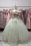 Beauty Ball Gown Off Shoulder Pleated Tulle Evening Dress Gala Prom Gown Quinceanera Dress HZ0427