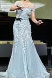 Elegant Prom Dress V-neck Pleated Tulle Mermaid Formal Gown Evening Dress Birthday Party Outfits HZ0427