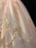 Elegant Ball Gown Crew Neck Tulle Applique Quinceanera Dress Evening Dress 18th Birthday Prom Gown HZ0427