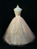 Elegant Ball Gown Crew Neck Tulle Applique Quinceanera Dress Evening Dress 18th Birthday Prom Gown HZ0427