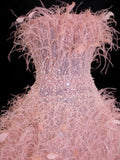 Modest Prom Dress Aesthetic Ball Gowns Strapless Tulle Pink With Feathers Style Impress Long Prom Dresses Party Formal Gown HZ0311