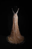 Vintage Mermaid Scoop Long Party Dress Tulle With Lace Inspo Champagne Floor Length Prom Dress HZ0311