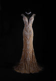 Vintage Mermaid Scoop Long Party Dress Tulle With Lace Inspo Champagne Floor Length Prom Dress HZ0311