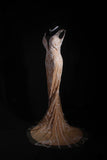Vintage Mermaid Scoop Long Party Dress Tulle With Lace Inspo Champagne Floor Length Prom Dress HZ0311