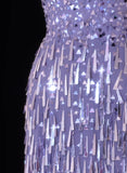 Classy Formal Sheath Scoop Neck Lilac Sequins With Tassel Style Impress Long Prom Dresses Party Gowns HZ0311