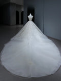 Princess Long Wedding Gowns Ball Gown V Neckline Style for Bride With Lace Appliques Train White Bridal Dresses HZ0311