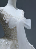 Princess Long Wedding Gowns Ball Gown V Neckline Style for Bride With Lace Appliques Train White Bridal Dresses HZ0311