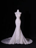 Classic Mermaid Spaghetti Strap Lace Tulle Wedding Gown Style for Bride With Fitted Petite Plus Size Bridal Dress HZ0311