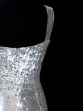 Chic Sheath Square Neck Silver Sequin Long Prom Formal Fancy Evening Dresses Dinner Outfits Classy Party Gowns HZ0311