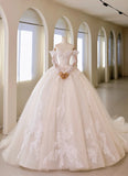 Luxury Women's Ball Gown Off The Shoulder With Appliqued Long Sleeves White Tulle Sweep Train Wedding Dresses HZ0311