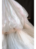 Princess Women's Wedding Dress With Lace for Bride Strapless Brides Dress Ball Gowns HZ0311