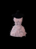 Chic Ball Gown Strapless Short Pink Lace With Feather Appliques Inspo Formal Party Gowns Prom Dresses HZ0311