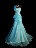 Vintage Mermaid Sweetheart Blue Organza Long Prom Dresses Party Dress 18th Birthday Outfits Graduation Dress HZ0311