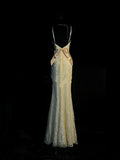 Chic Mermaid V Neck Yellow Lace Long Party Dresses Prom Dresses Impress Wedding Guest Dress HZ0311