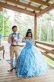 Charming Ball Gown Off The Shoulder Blue Flowers Satin Long Quinceanera Dress Sweet 15 16 Dresses HZ0311