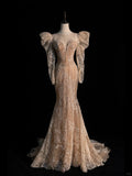 Retro Mermaid Lace Champagne With Long Sleeves Party Dresses Prom Dresses Impress Senior Formal Dance Dress HZ0311